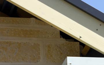 soffit repair Chesterton Green